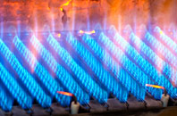 Lynnwood gas fired boilers